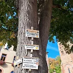 Entre Vignes Et Vergers Maison Historique Gueberschwihr