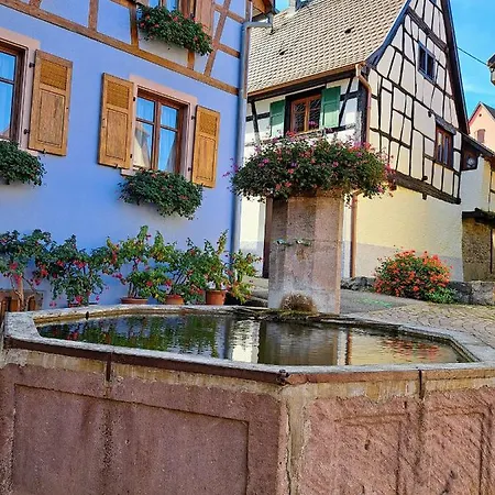 Entre Vignes Et Vergers Maison Historique * Gueberschwihr