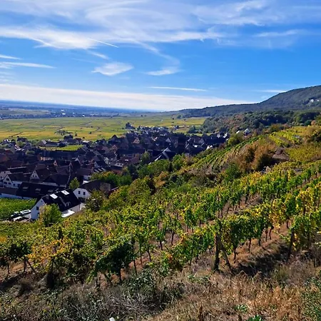 Apartmán Entre Vignes Et Vergers Maison Historique *
