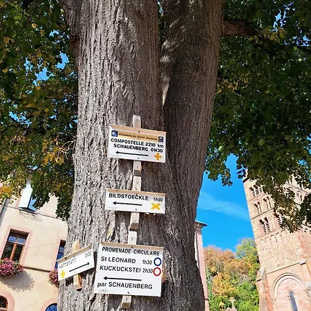 Entre Vignes Et Vergers Maison Historique Gueberschwihr